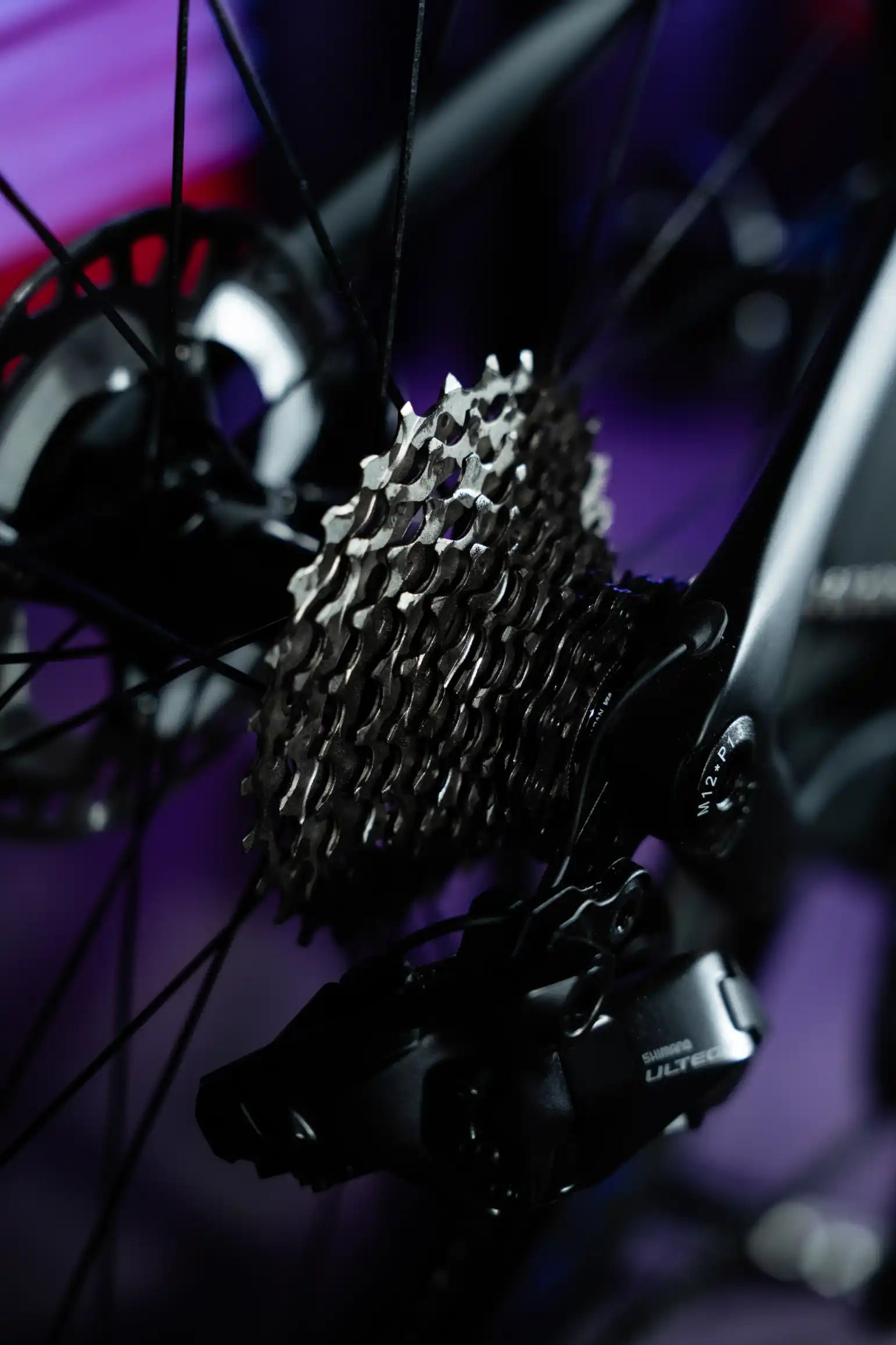 Purple Air road bike detail in purple tones